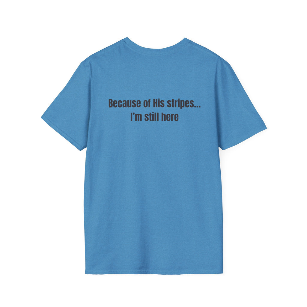 Jesus with Crown of Thorns T-Shirt | Because of His Stripes religious tee