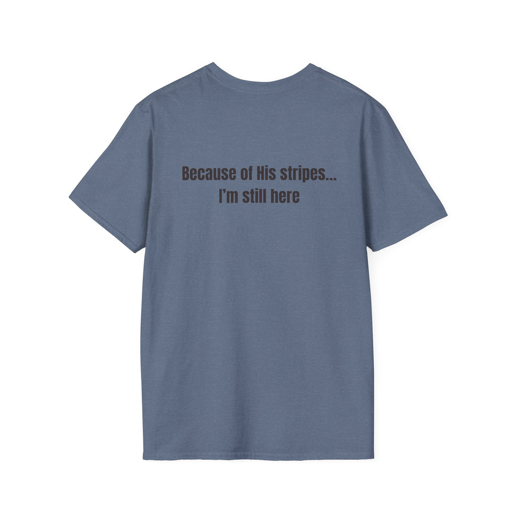 Jesus with Crown of Thorns T-Shirt | Because of His Stripes religious tee