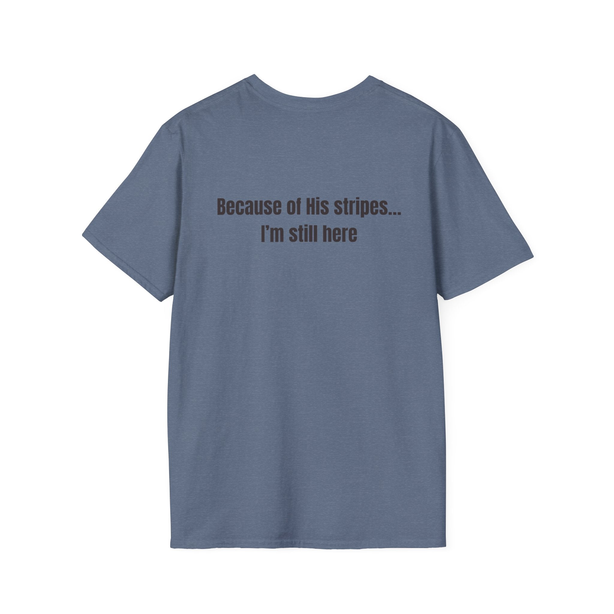 Jesus with Crown of Thorns T-Shirt | Because of His Stripes religious tee