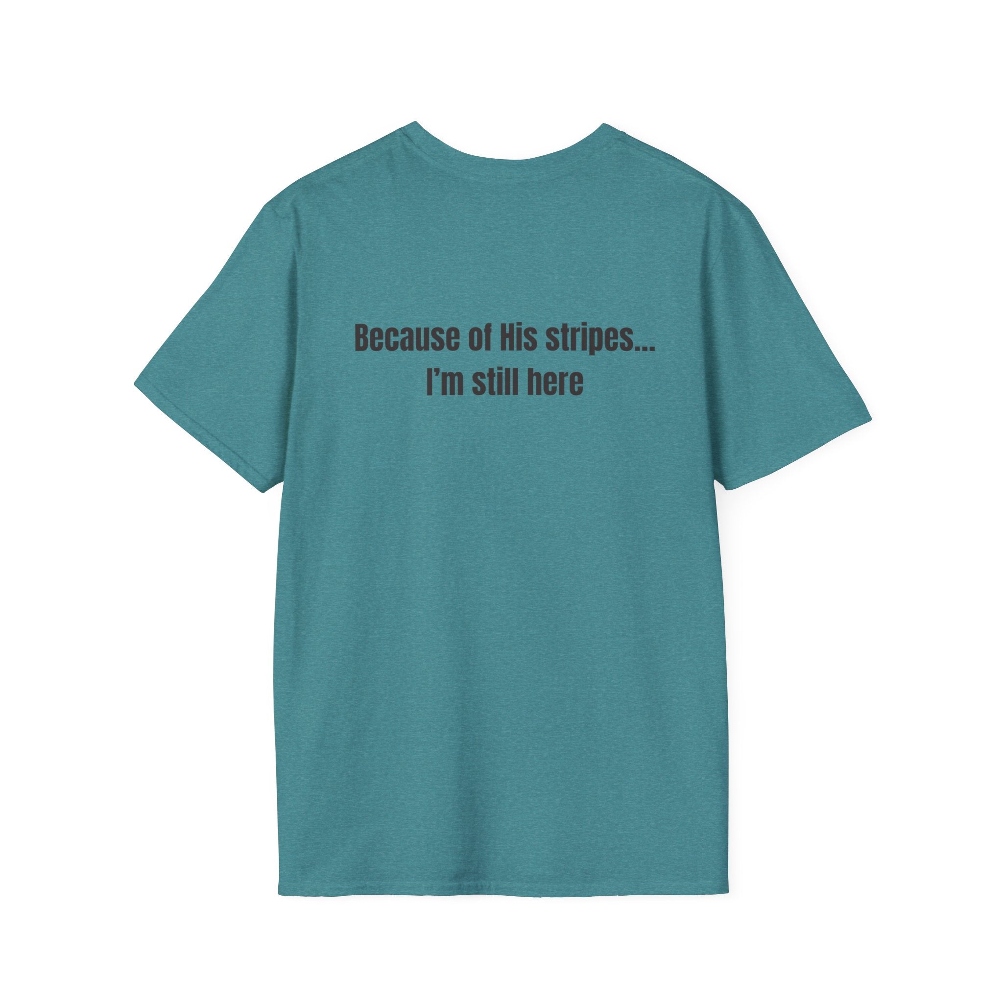 Jesus with Crown of Thorns T-Shirt | Because of His Stripes religious tee