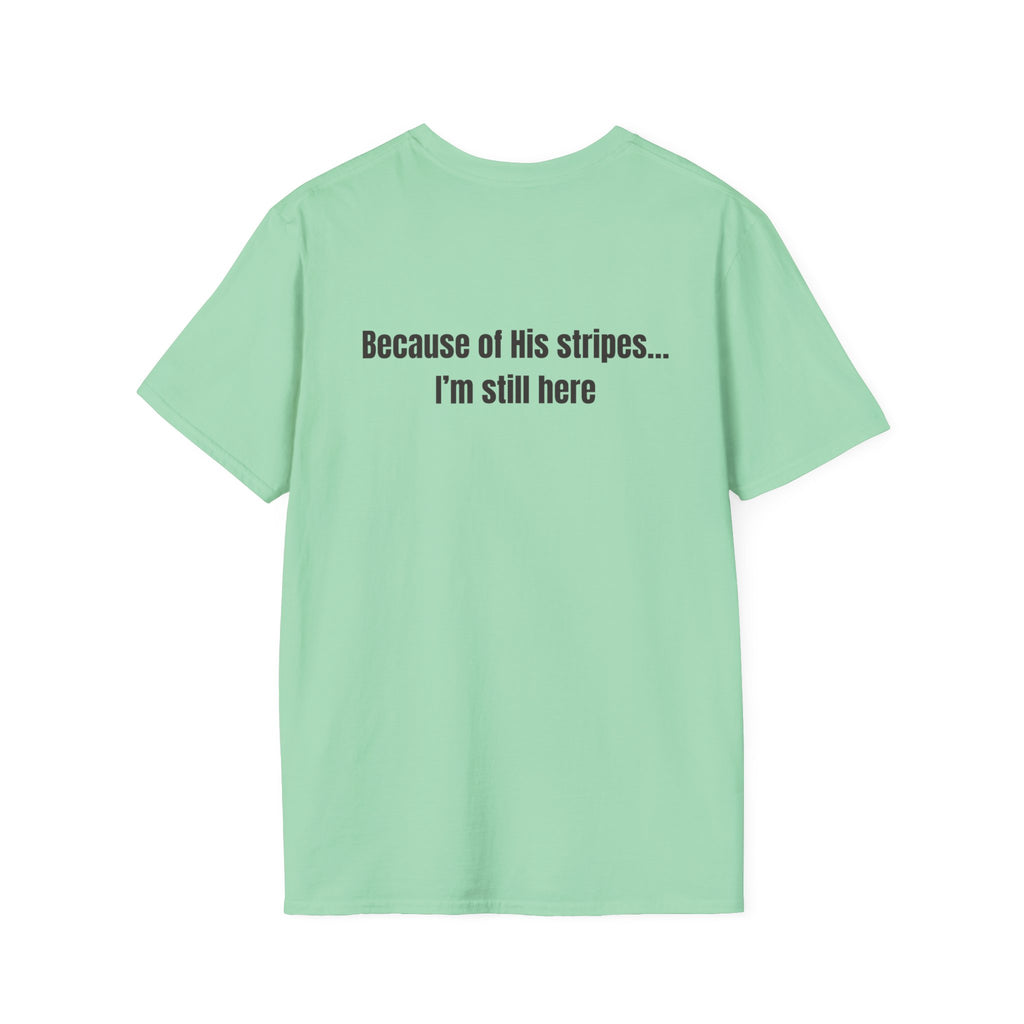 Jesus with Crown of Thorns T-Shirt | Because of His Stripes religious tee