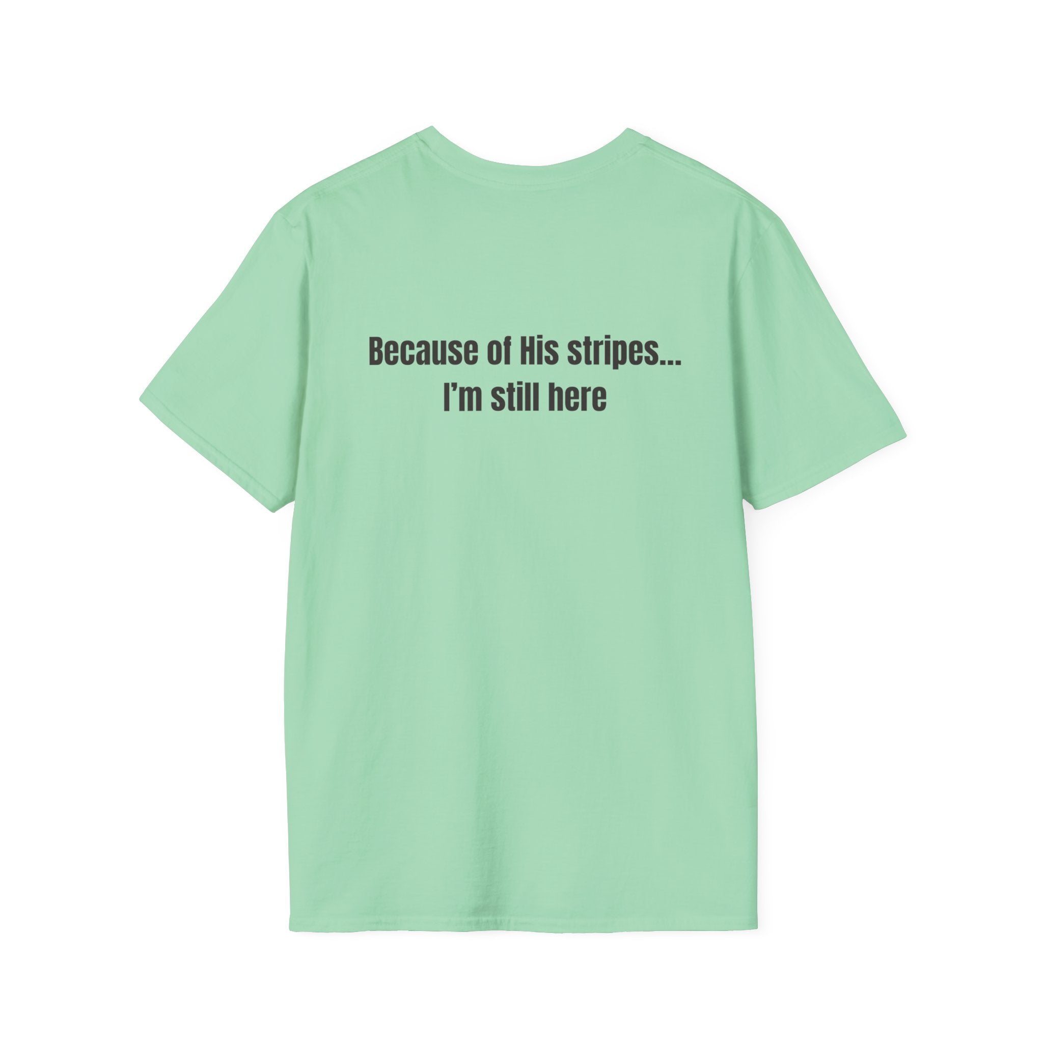 Jesus with Crown of Thorns T-Shirt | Because of His Stripes religious tee