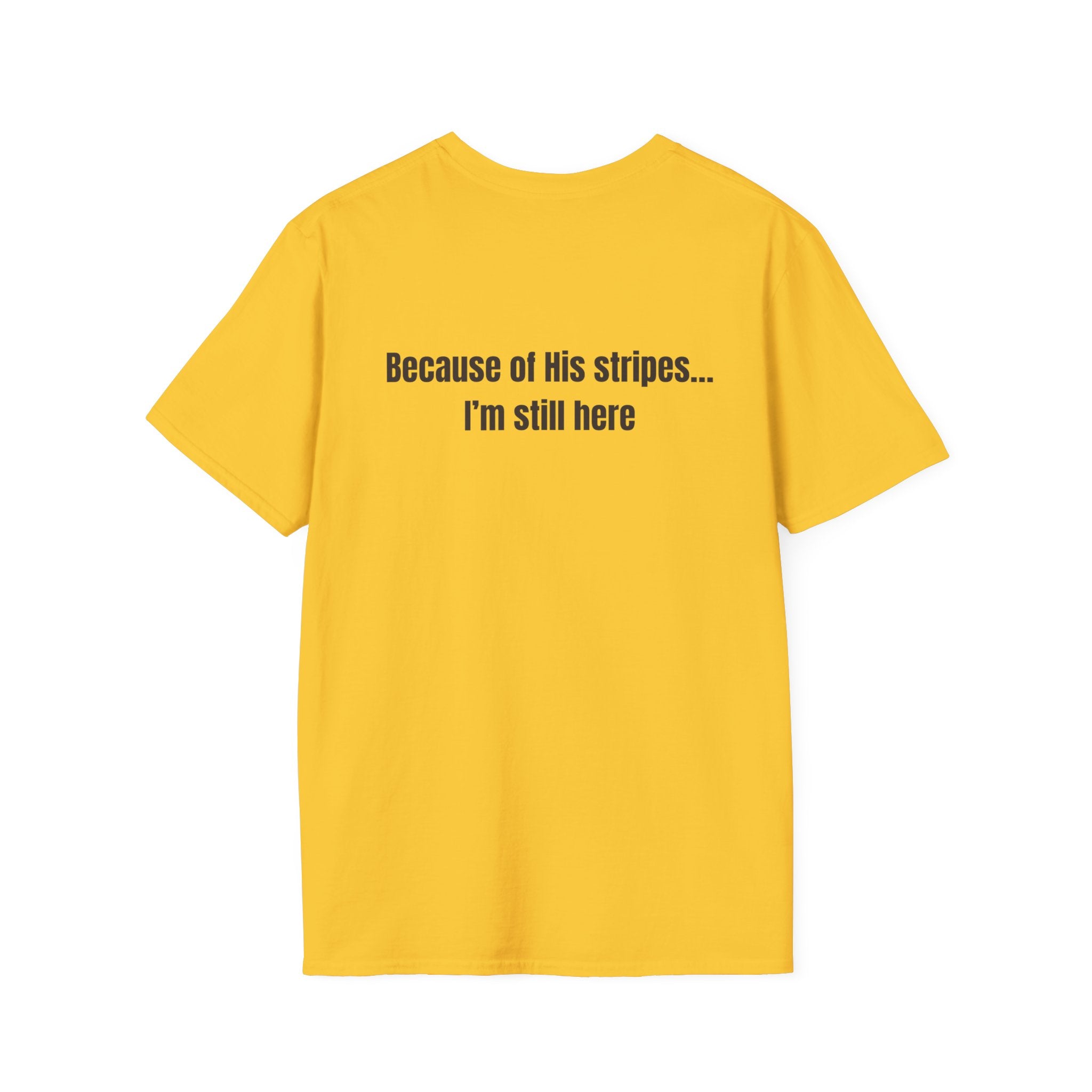 Jesus with Crown of Thorns T-Shirt | Because of His Stripes religious tee