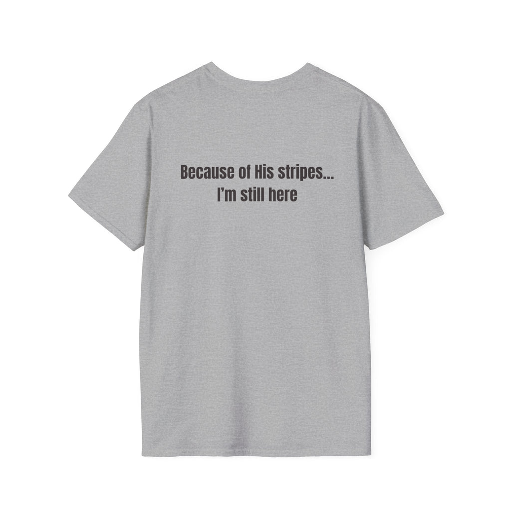 Jesus with Crown of Thorns T-Shirt | Because of His Stripes religious tee