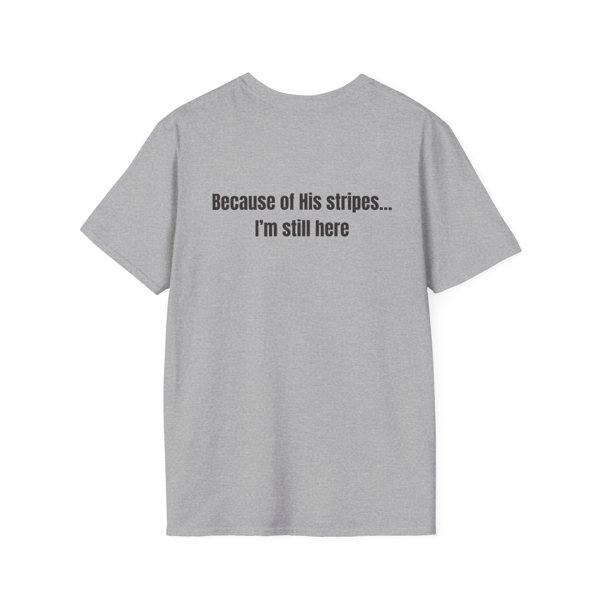 Jesus with Crown of Thorns T-Shirt | Because of His Stripes religious tee
