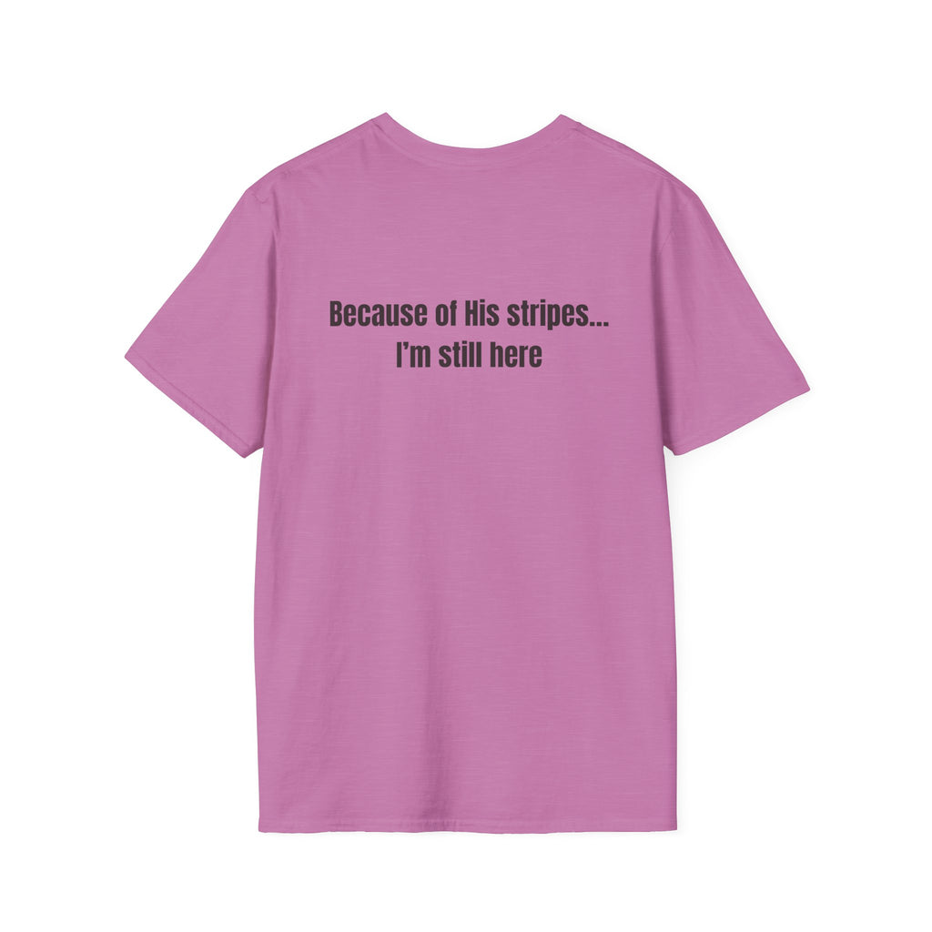 Jesus with Crown of Thorns T-Shirt | Because of His Stripes religious tee