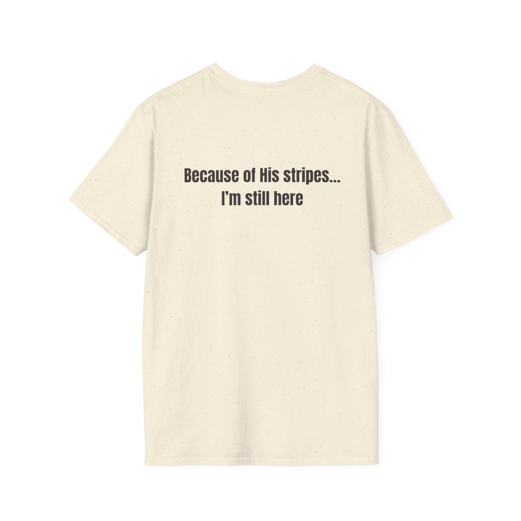 Jesus with Crown of Thorns T-Shirt | Because of His Stripes religious tee