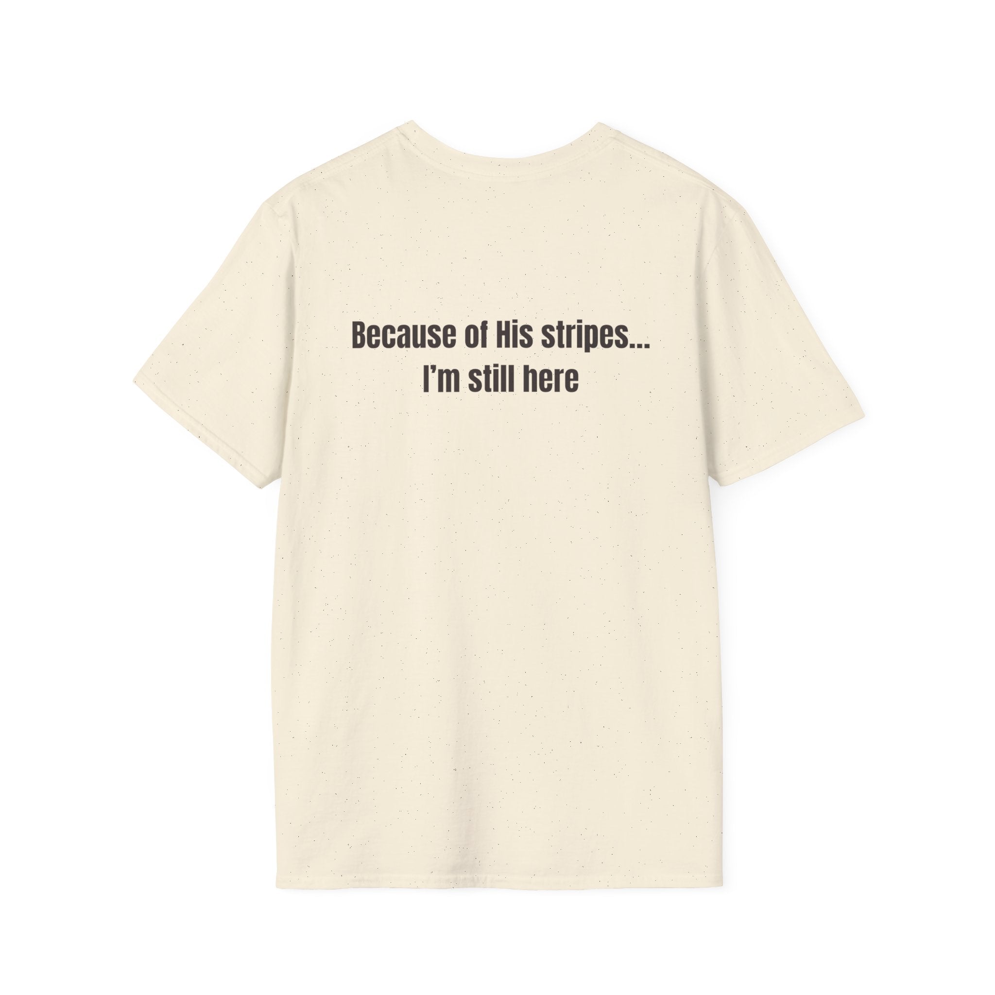 Jesus with Crown of Thorns T-Shirt | Because of His Stripes religious tee