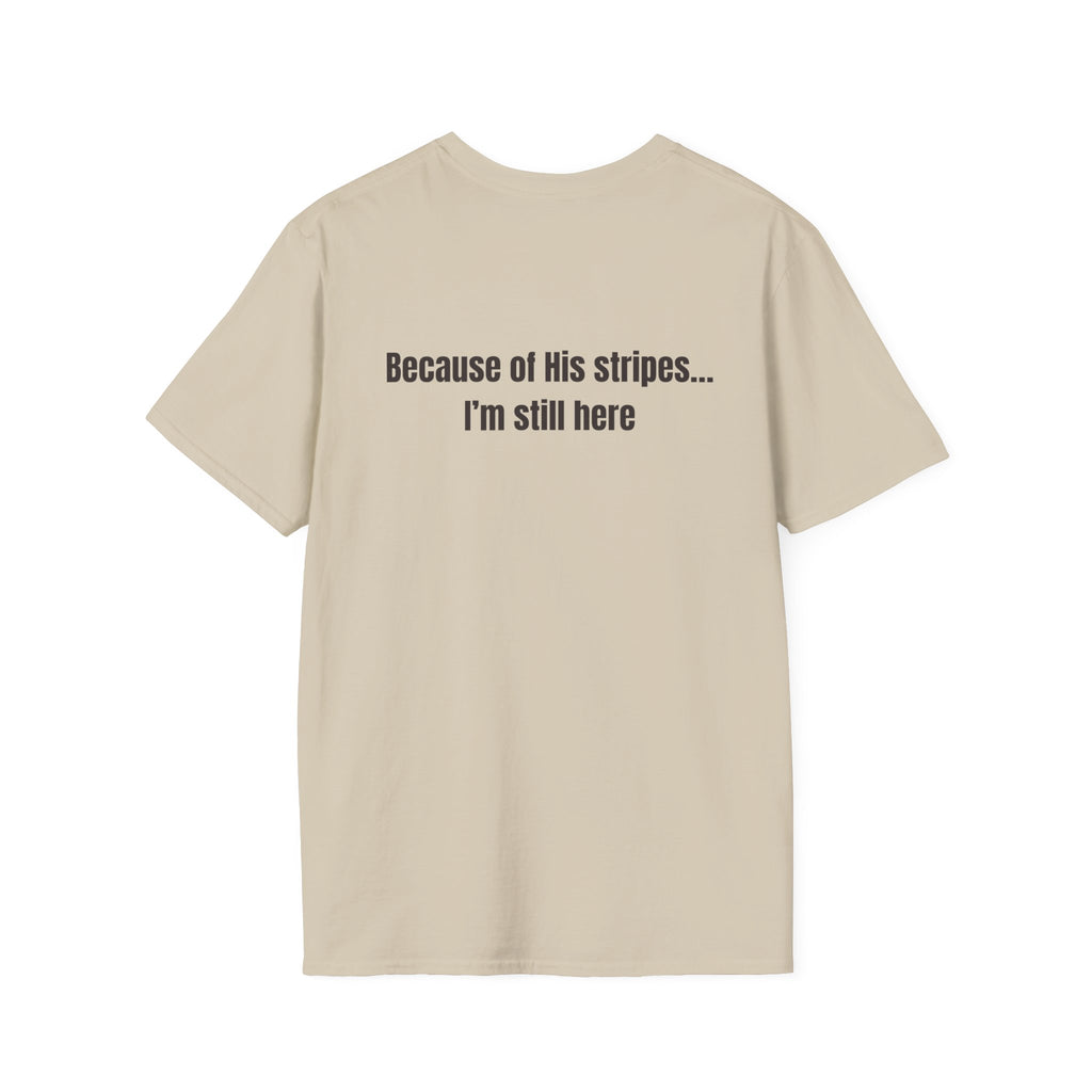 Jesus with Crown of Thorns T-Shirt | Because of His Stripes religious tee