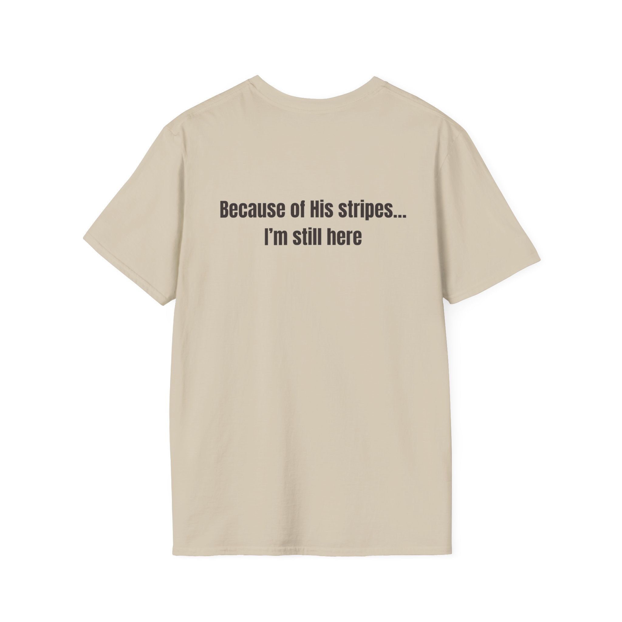 Jesus with Crown of Thorns T-Shirt | Because of His Stripes religious tee