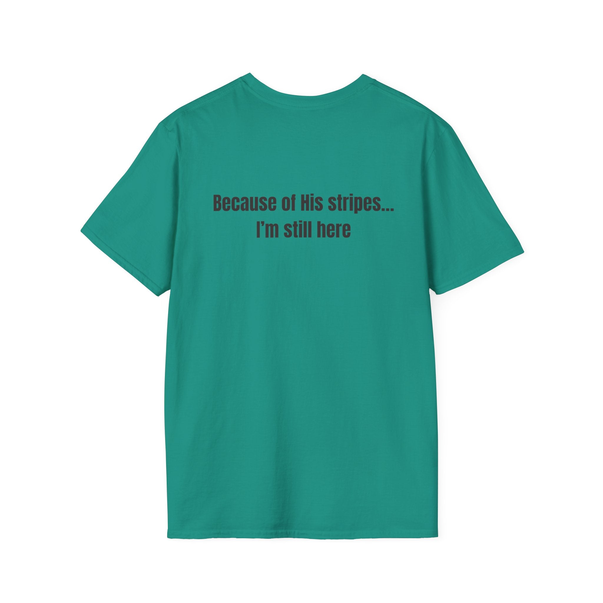 Jesus with Crown of Thorns T-Shirt | Because of His Stripes religious tee