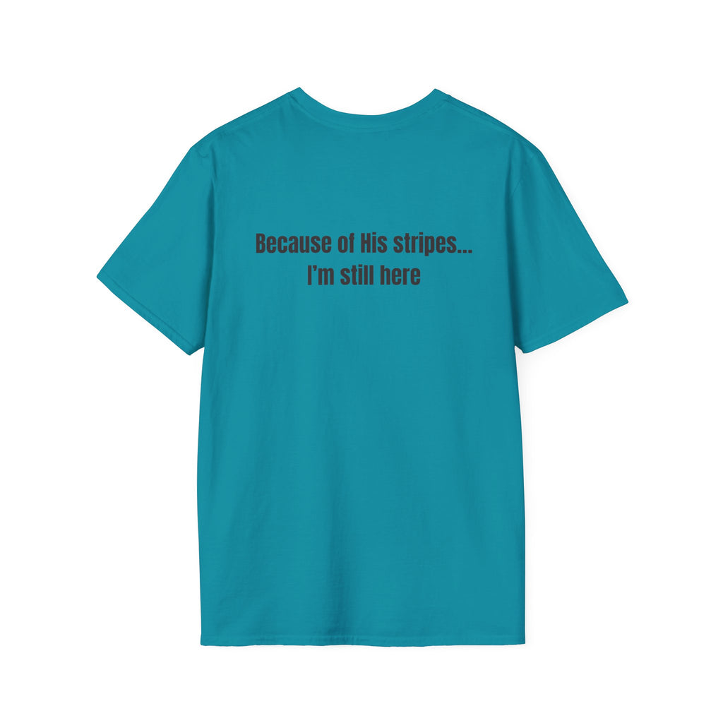Jesus with Crown of Thorns T-Shirt | Because of His Stripes religious tee