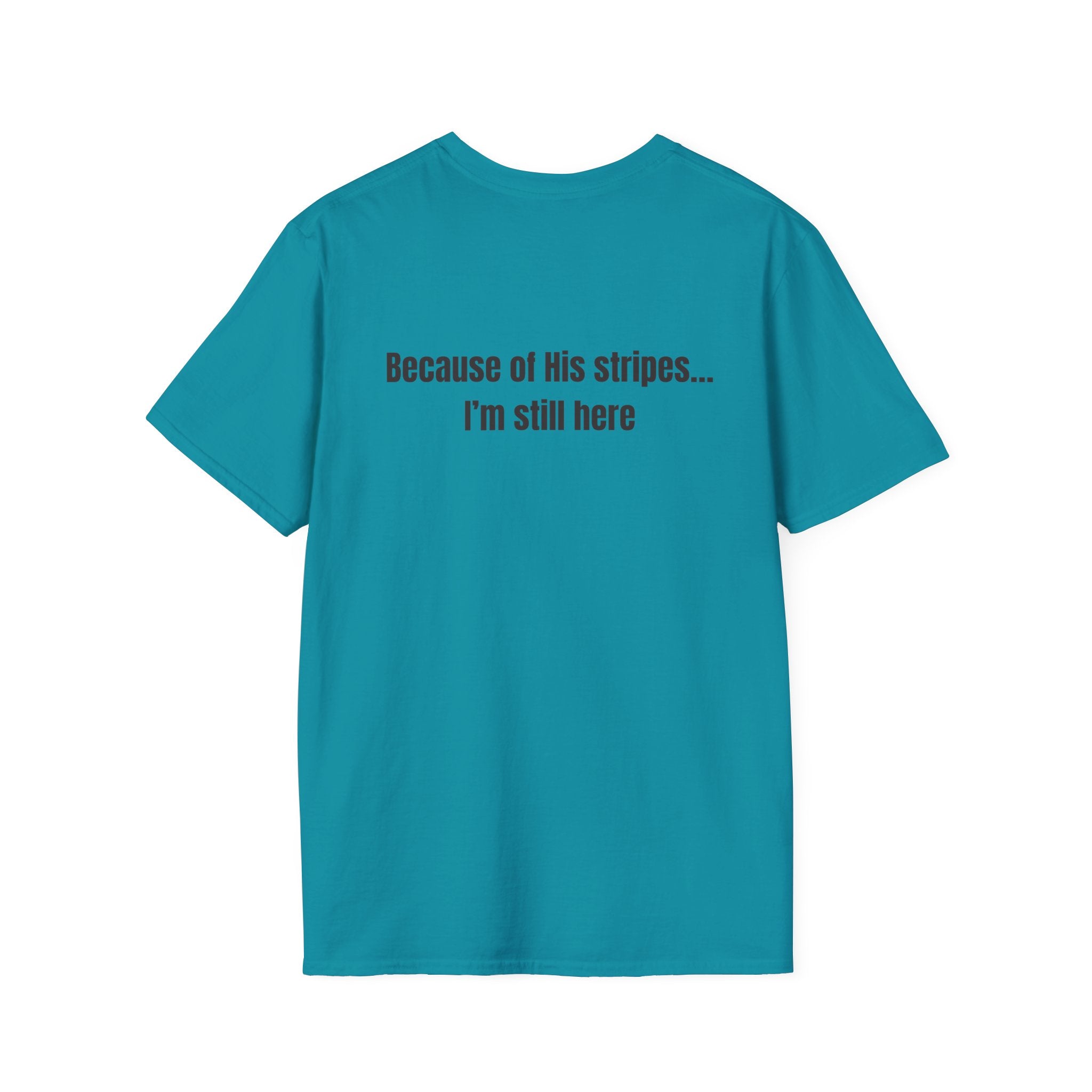 Jesus with Crown of Thorns T-Shirt | Because of His Stripes religious tee